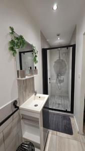 Appartements Le petit cocon centre ville : photos des chambres