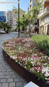 Esencia del Casco Antiguo