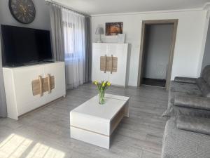 Apartament Pod Leśnym Niebem