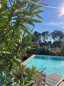 Appartements O Coeur Des Ocres : photos des chambres