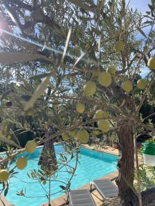 Appartements O Coeur Des Ocres : photos des chambres