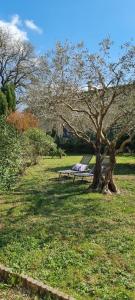 Maison Gorges du Gardon