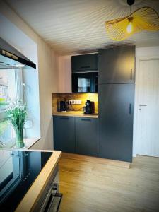 Appartements La Taniere du Katz : photos des chambres