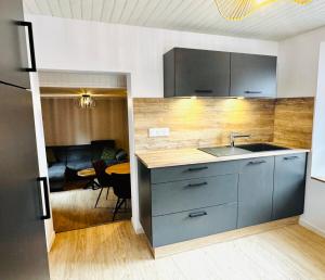 Appartements La Taniere du Katz : Appartement 2 Chambres