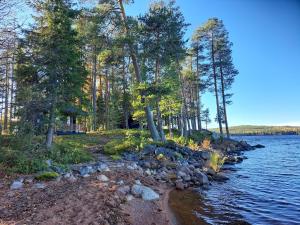 Blue Moment at the Arctic Circle- Forest, beach, activities