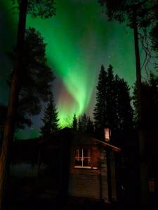 Blue Moment at the Arctic Circle- Forest, beach, activities
