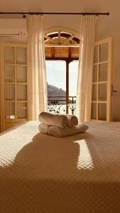 Limeni Studios - Neon Oitilon