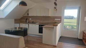 Southfork u Štěpánků - Apartmán Branišov