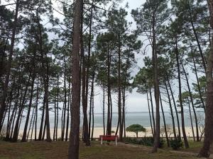 Family cocoon in Arcachon center