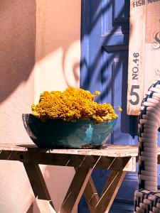 Villas Les galets bleus de Calvi : photos des chambres