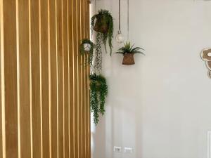 Ama Homes - Garden Lakeview