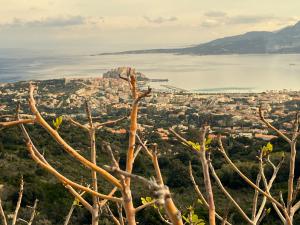 Villas Les galets bleus de Calvi : photos des chambres