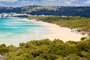 Apulia Suite by Amarena Collection