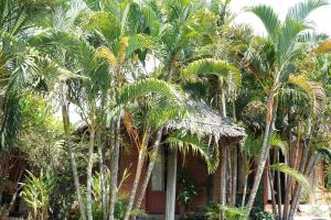 The Little Garden Mui Ne Homestay