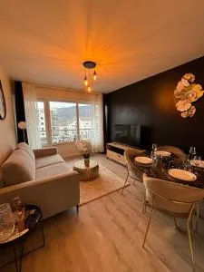 LE GOLDEN accès direct tramway Genève avec parking - 安姆比利