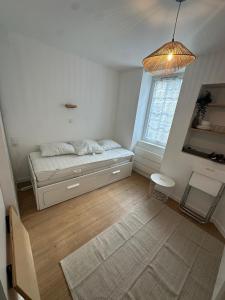 Studio refait à neuf, lumineux - 131