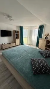 La Bubu Apartament 2 - 泽尔内什蒂