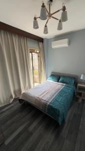 Modern Comfort in the Heart of Zayed