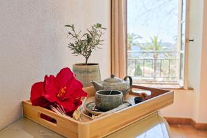 Hotels Hostellerie du Cigalou : Chambre Double