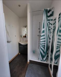 Appartements Tres agreable studio au calme : Appartement 1 Chambre