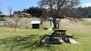 Maisons de vacances Gites des Gentianes : photos des chambres
