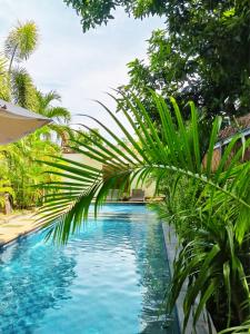 Phòng Giường Đôi Nhìn Ra Hồ Bơi (Double Room with Pool View)