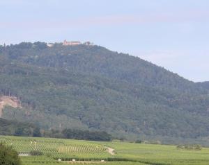 Appartements Charming 3-star furnished tourist accommodation in Barr : Appartement 1 Chambre