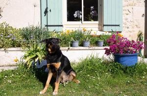 Sejours chez l'habitant La Dorepontaise CHAMBRE D'HOTES : photos des chambres