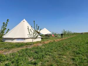 Glamping Verger de la Marsale