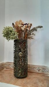 El pájaro tricolor casa spa