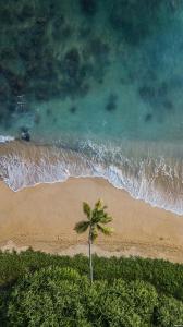 Linesa holiday villa