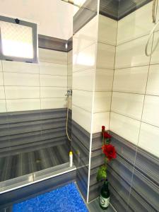 Mediterranean Experience