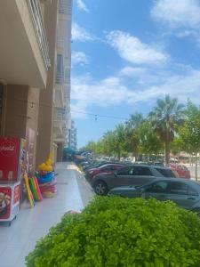 Mediterranean Experience