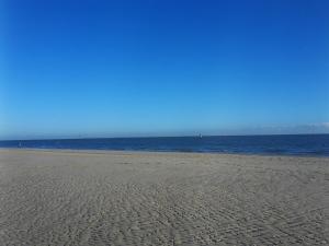 Private Logies Texel Woodart