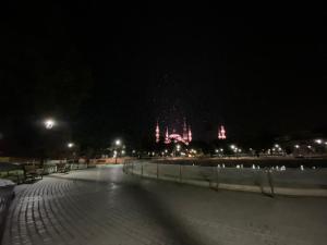 Blue Star Apartments Old City Center