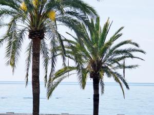 AA Guest - La Marina Sea Views Eco Apartment