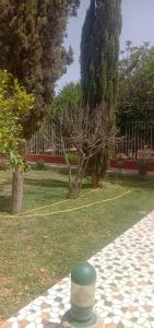 nice mini villa with pool