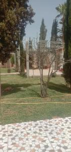 nice mini villa with pool