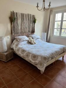 Maison Provencale avec piscine