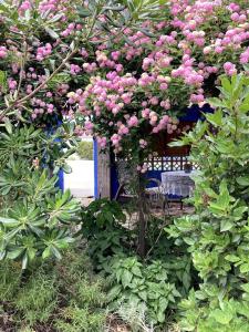 La Casita Azul, LEscala, Con climatización