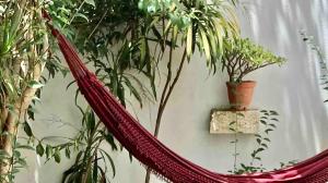 Quiet and Charming Home - with Yard, City Center