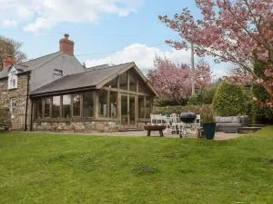 Sea View - 庞特芬