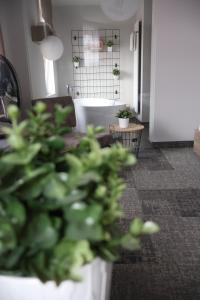 Deluxe Double Room with Bath room in alexxanders Hotel & Boardinghouse Restaurant