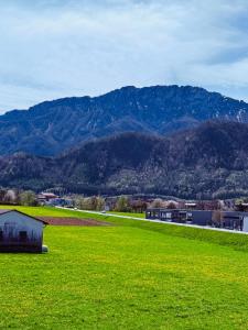 Zentrale Wohnung mit Alpenblick