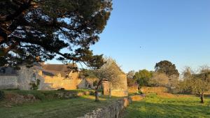 Maisons de vacances Gite de couple Cosy avec vue sur Chateau Tremohar - Golfe du Morbihan, 20 min de Vannes : photos des chambres