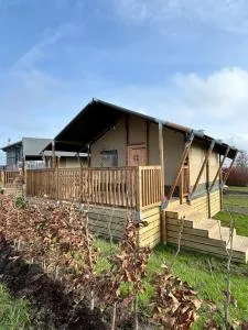 Safaritent Premium aan het water - Oude Wetering