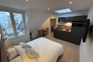 Bright newly renovated studio - Bischheim