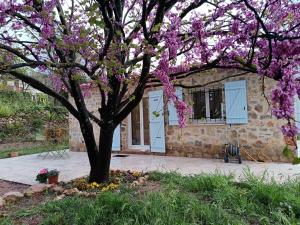 Maisons de vacances Location maison LORGUES Les victorines : photos des chambres