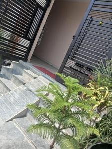 Hotel The Royal Palace