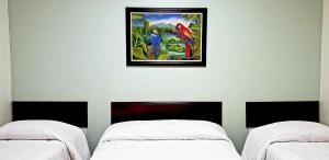 Pousada Itaicy Pantanal